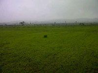 Mount Valley Plot - Project Photo