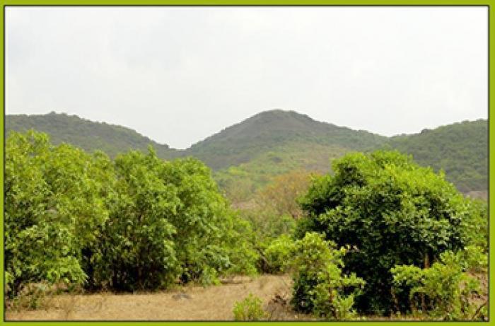 Samrajya Plot Bope - Banner Image