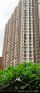 1 BHK 600 Sq. ft Apartment for Sale in Thane West, Thane