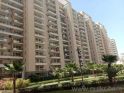 3 BHK 1578 Sq. ft Apartment for Sale in Sector 69, Gurgaon