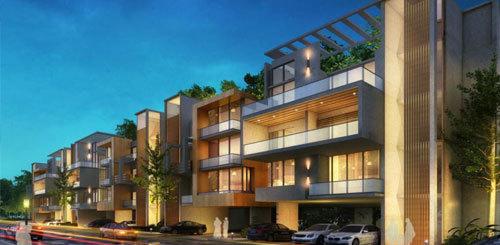 Lotus Green - Project Photo