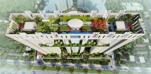 Saha Amadeus - Project Photo