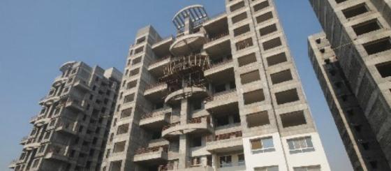 Expat Genesis - Project Photo