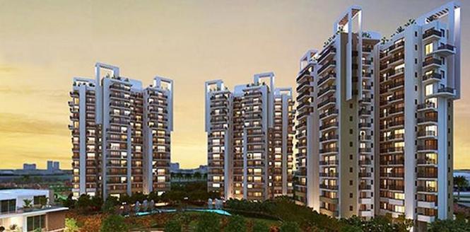 Geoworks 1000 Trees Select - Project Photo