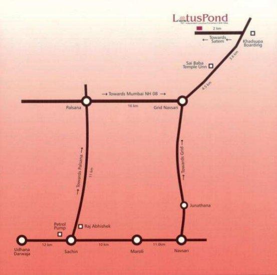 Lotus Pond - Locality