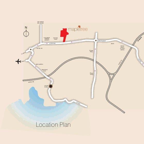 RIPL Maple Tree - Locality