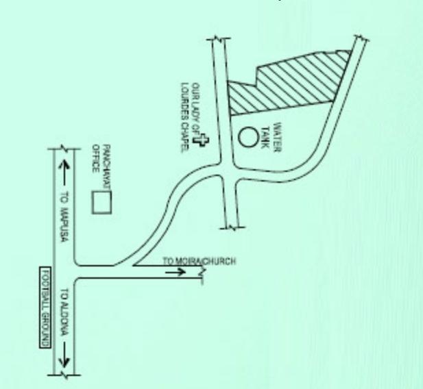 Acron Eugenia Evergreens - Locality