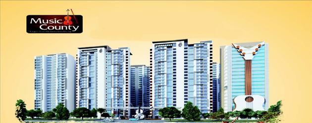 Palm Music County - Project Photo