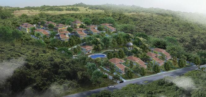 Acron Eugenia Evergreens - Project Photo