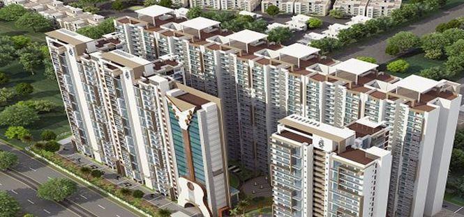 Palm Music County - Project Photo