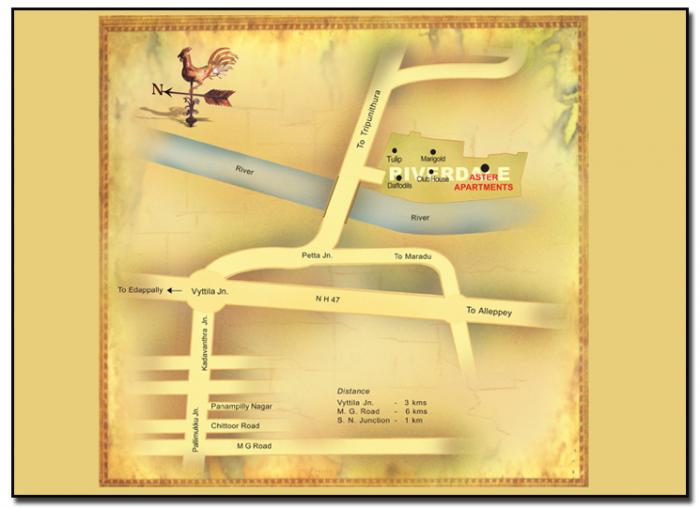 Skyline Aster - Locality