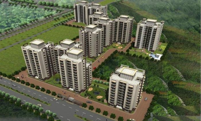 Tulip Orange - Main Photo