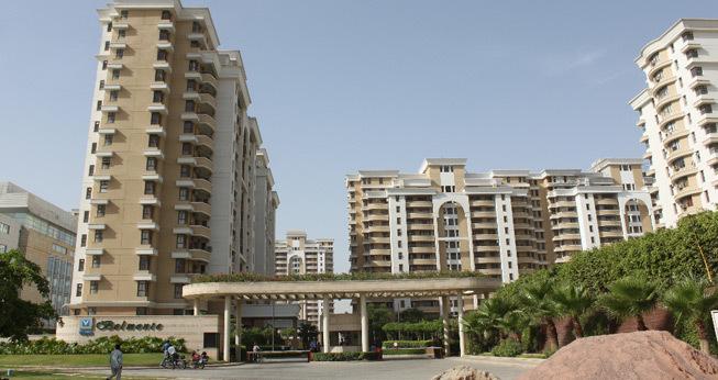 Vipul Belmonte - Main Photo