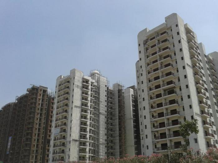 JM Orchid - Main Photo