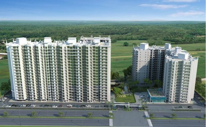 Sethi Max Royal - Project Photo