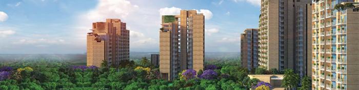 CHD Vann - Banner Image