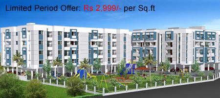 DABC Orchid - Project Photo