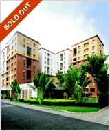 Pristine Zircon - Banner Image