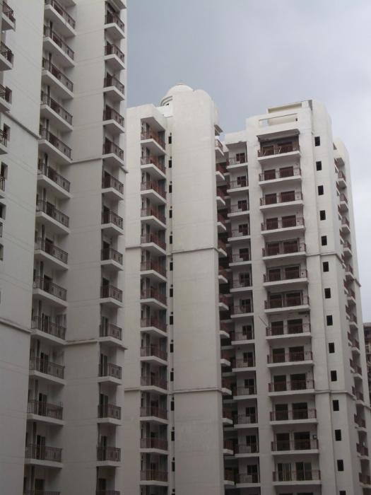 JM Orchid - Main Photo