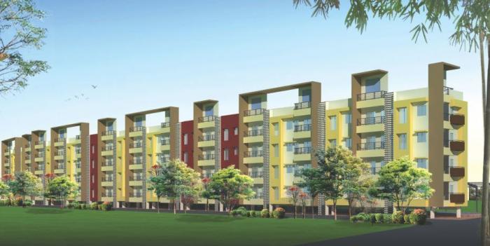 MN Credence Flora - Project Photo