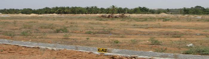 ABD Sunshine - Banner Image