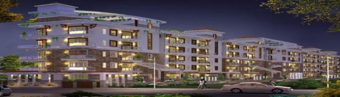 Aruna Pinewoods - Banner Image