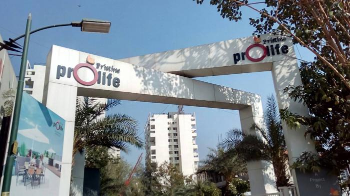 Pristine Prolife I - Project Photo