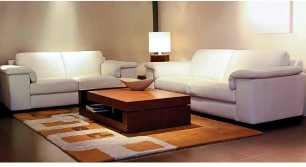 SV Nest - Project Photo