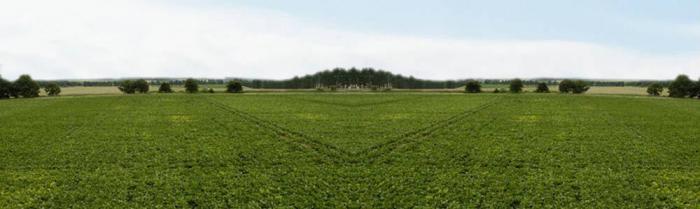 Vipul World Plots - Banner Image