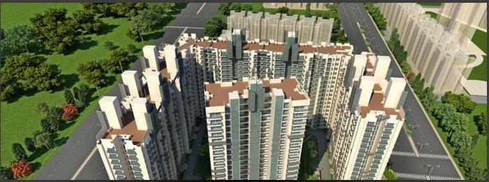 AIG Royal - Project Photo