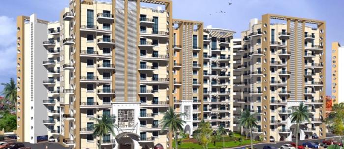 Royal Imperio - Project Photo