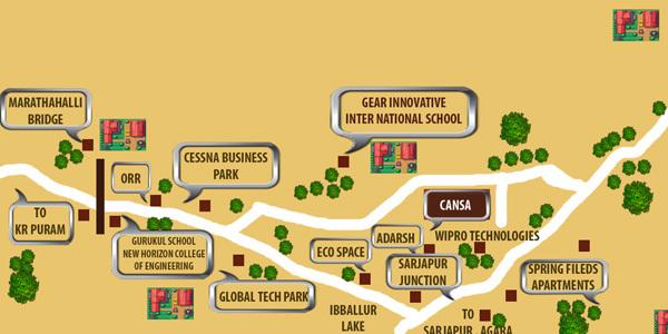 Cansa Pride - Locality