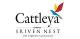 Cattleya Sriven Nest
