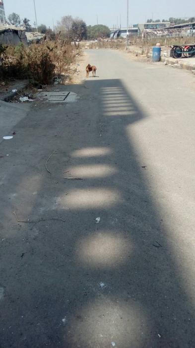 Vasani Residency - Project Photo