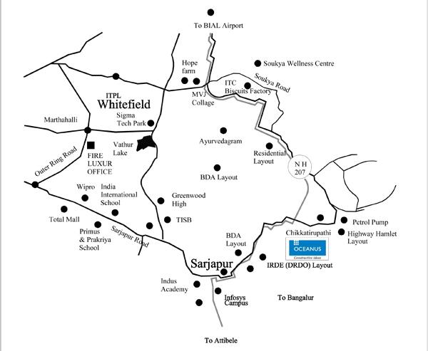 Oceanus Meadows - Locality