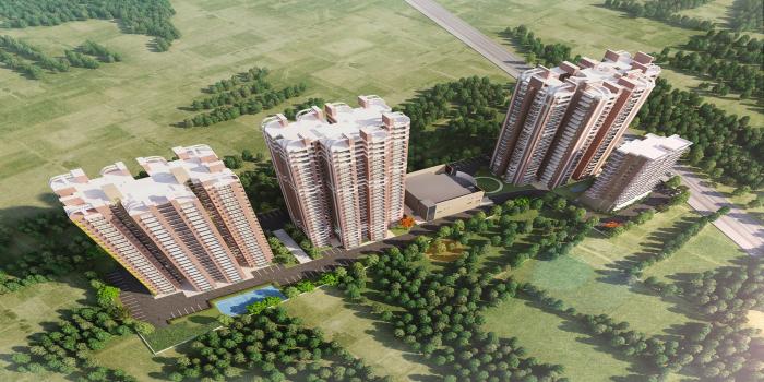 NCR Monarch - Project Photo