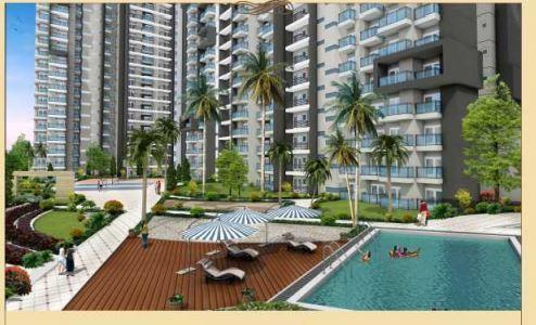 One Leaf Troy - Project Photo