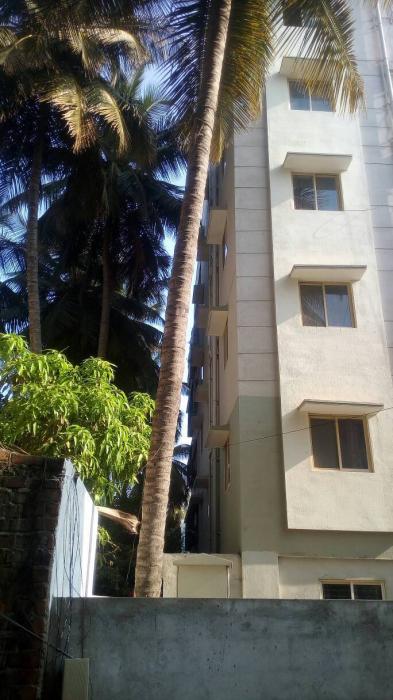 Sumukha Opal - Project Photo