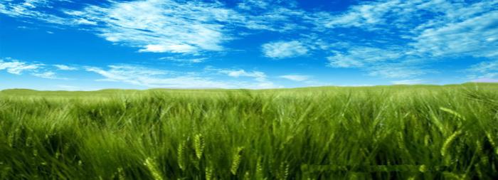 Nimbus Express Park View-I - Project Photo