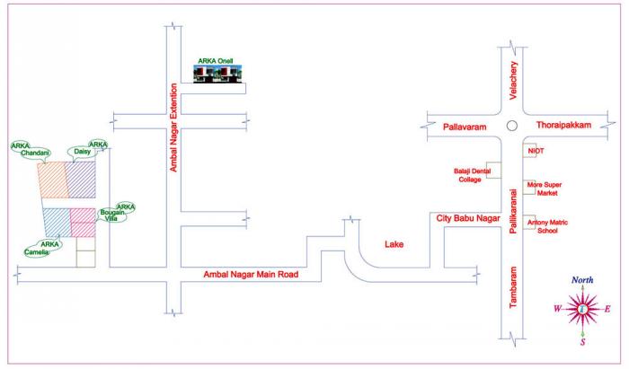 Arka Daisy - Locality
