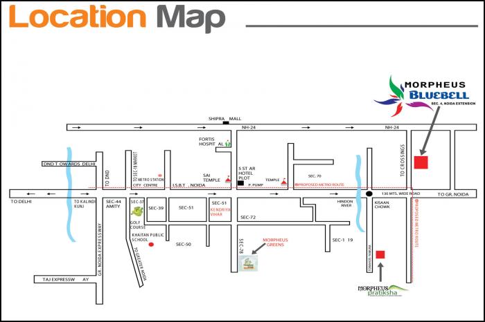 Morpheus Bluebell - Locality