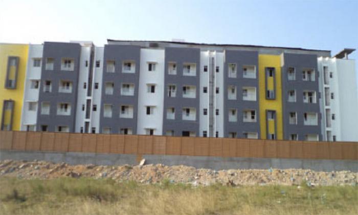 Urban Trees Atrium - Project Photo