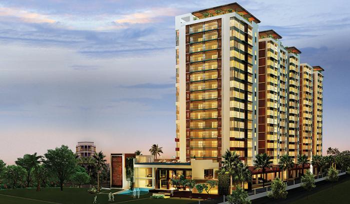 Altis Oceanique - Project Photo