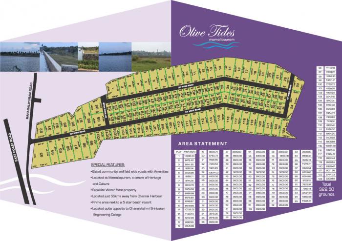 Olive Tides - Master Plan