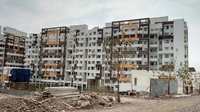 Polite Panorama - Project Photo