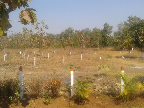 Temple Rose Mountain Range Phase III - Banner Image