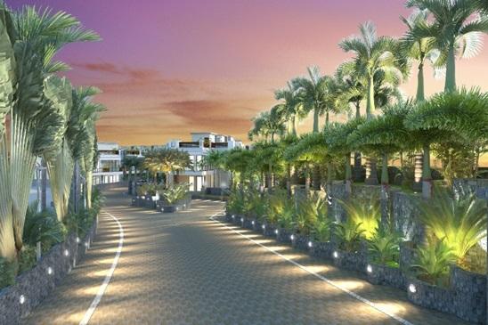 Sun Palms - Project Photo