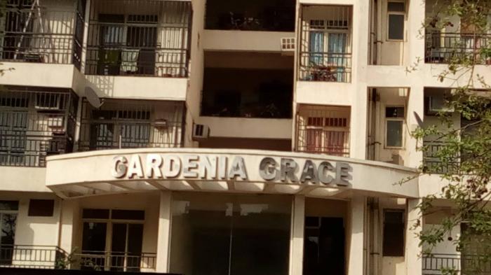 Maxblis Grace - Project Photo