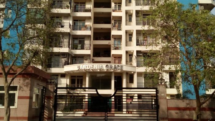 Maxblis Grace - Project Photo