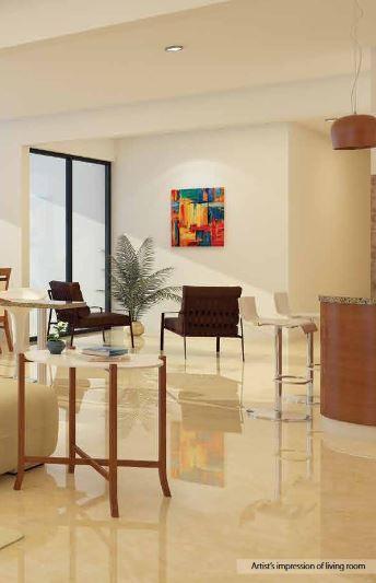 Ceear The Big Tree - Project Photo